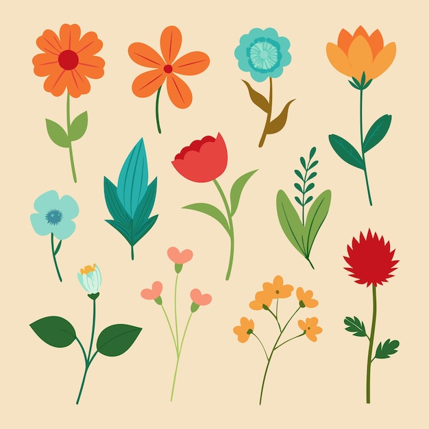 Vector vector spring flower collection