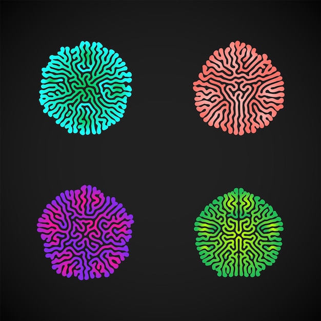 Vector various color design Turing morphogenesis reaction diffusion pattern organic ornament elements set black background