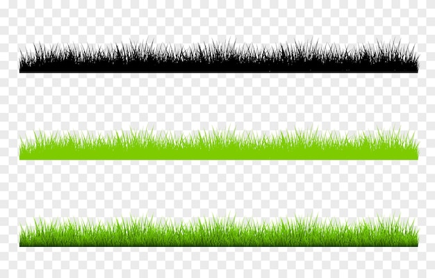 Vector vector young grass png lawn grass on an isolated transparent background grass silhouette