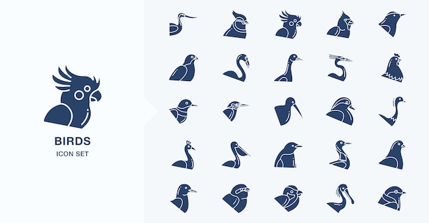 Verscheidenheid aan vogels vector iconen