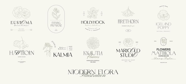 Vintage Flower logo template illustration for branding