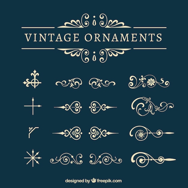 Vector vintage ornaments collection