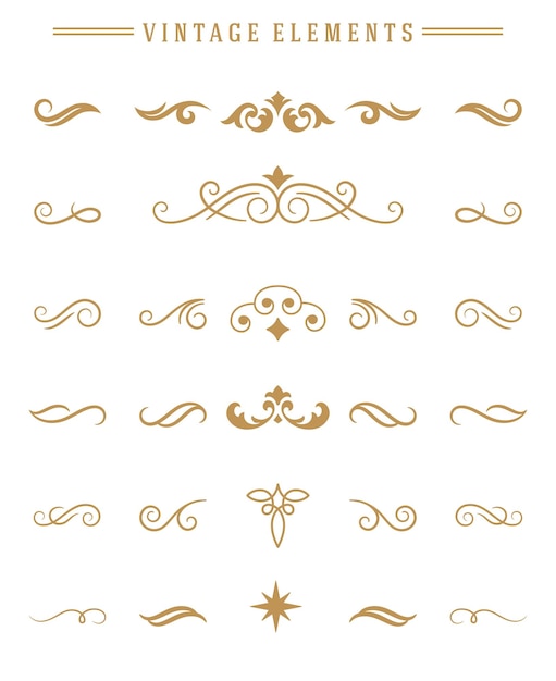 Vector vintage ornaments set floral elements for design invitations