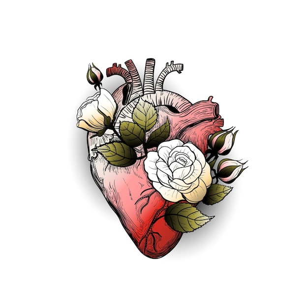 Vintage tattoo floral anatomical heart with blooming roses