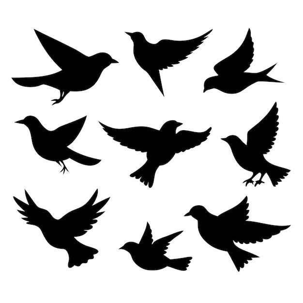 Vector vogels zwarte silhouetten collectie geïsoleerde witte achtergrond 24