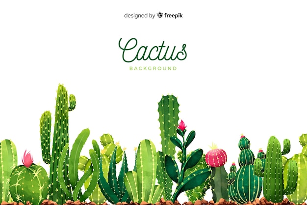 Watercolor cactus background