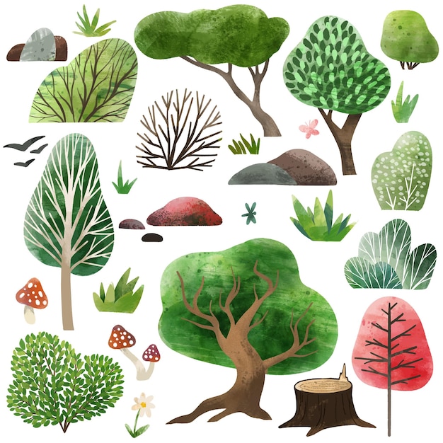Vector watercolor forest elements hand drawn   illustration