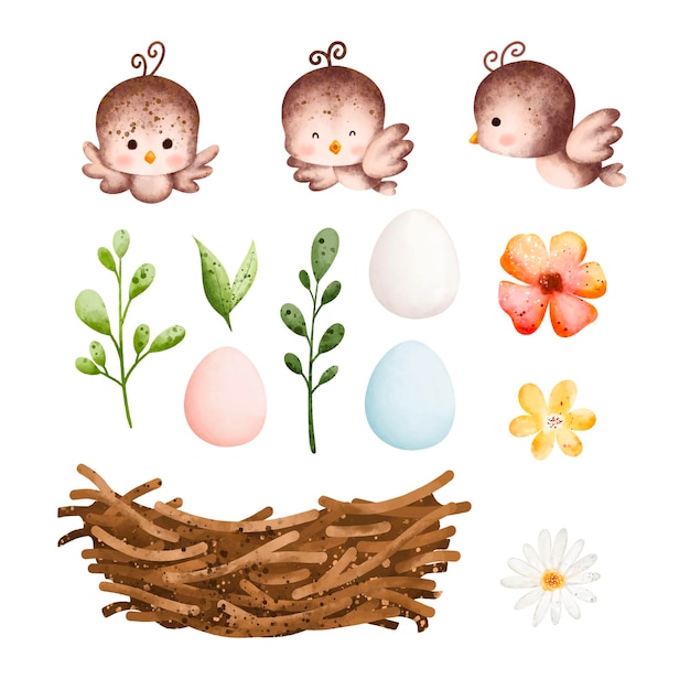 Watercolor Illustration set of bird and nest