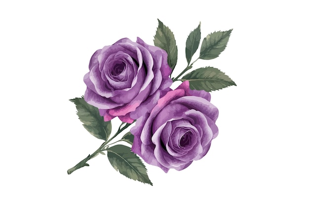 a watercolor painting of purple roses with green leaves