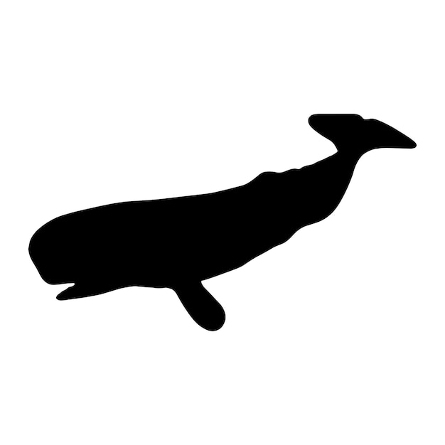 whale silhouette vector black color on white background