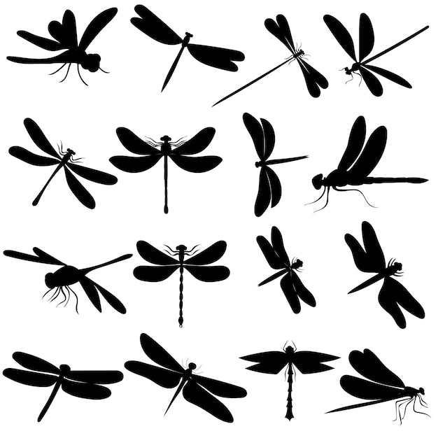 White background black silhouette dragonfly background