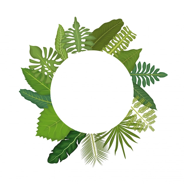 White background with circular frame decorative green leaves around 