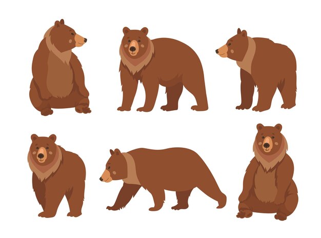 Vector wild brown bear cartoon character flat vector illustrations set. collection of drawings of cute comic grizzly bear standing, sitting and walking isolated on white background. wildlife, nature concept