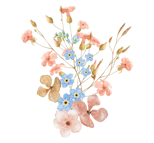 Wild flowers watercolor bouquet botanical hand drawn illustration