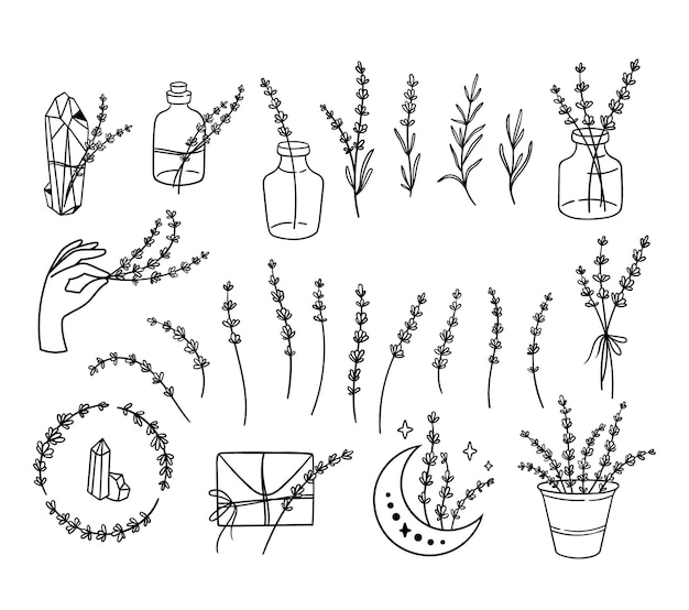 Wildflowers lavender black and white clipart bundle line lavender flower set  vector illustration