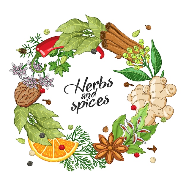 winter circle template with spices, herbs