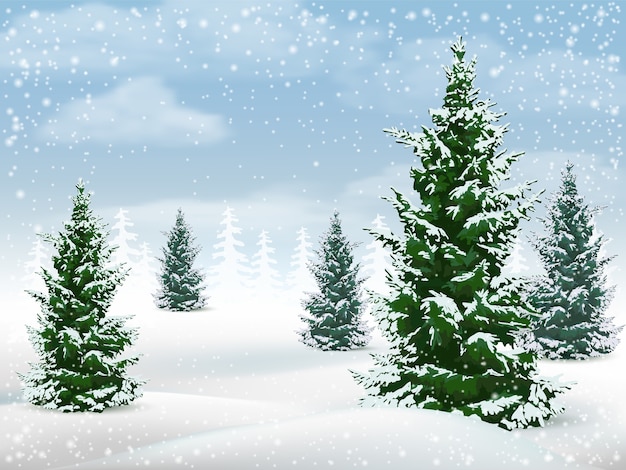 Winter landscape with fir trees.