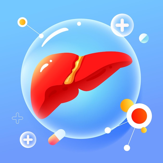 World hepatitis day, doctor examines liver to treat hepatitis disease, vector illustration