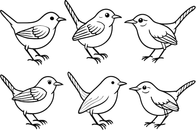 Vector wren bird line art