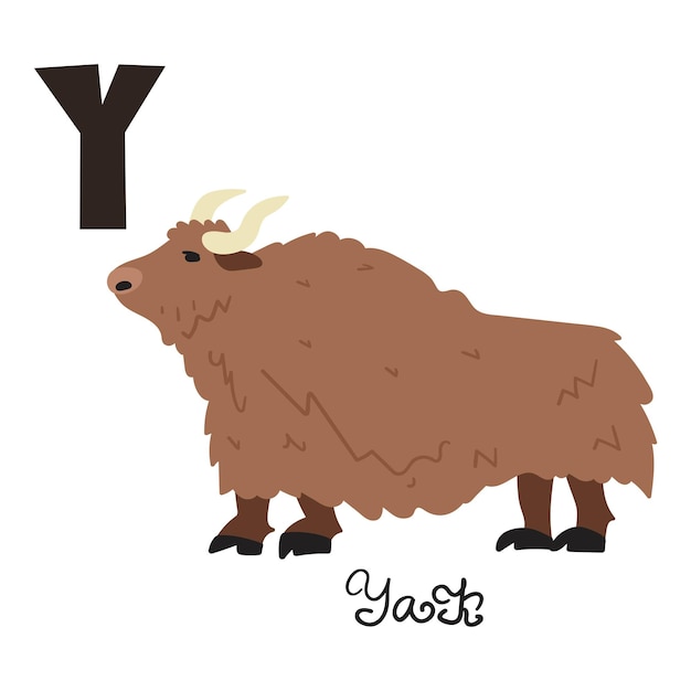 Vector yak. letter y. flat hand drawn illustration on white background.