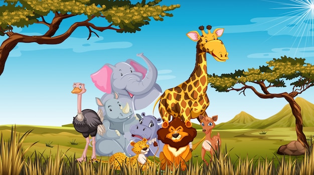 Zoo animals in the wild nature background