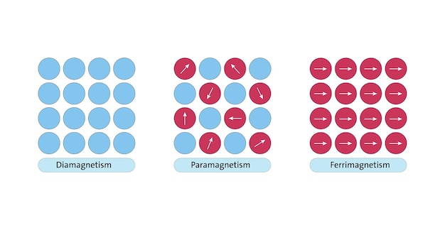 Plik wektorowy rodzaje diagramu magnetyzmu paramagnetyzm ferrimagnetyzm diamagnetyzm ilustracja wektorowa