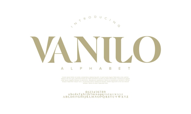 Vanilo premium luksusowe eleganckie litery alfabetu i cyfry Elegancka typografia ślubna klasyczna szeryfowa