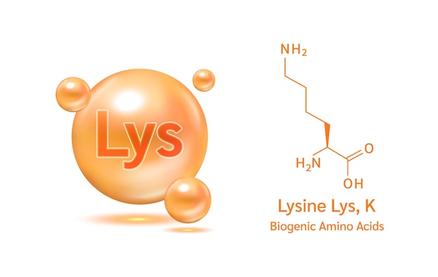 Wektor ważny aminokwas lysine lys oraz strukturalny wzór chemiczny i model liniowy cząsteczki