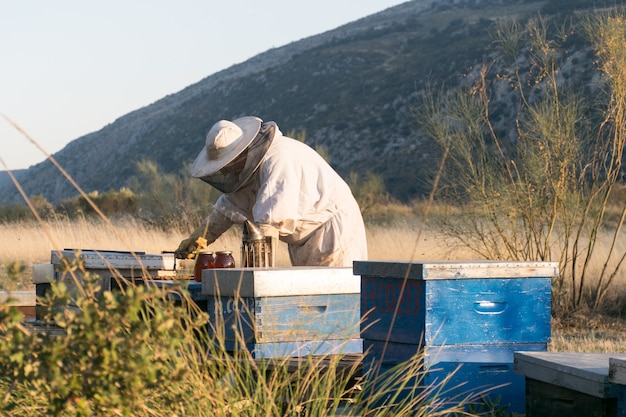 Zdjęcie apicultor extrayendo miel de panales de abejas