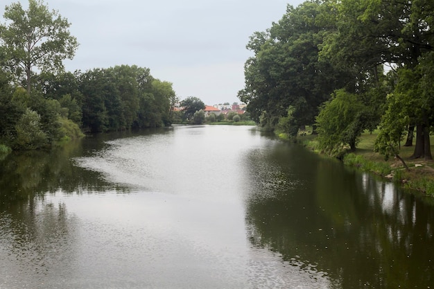 Krajobraz rzeki, las i niebo