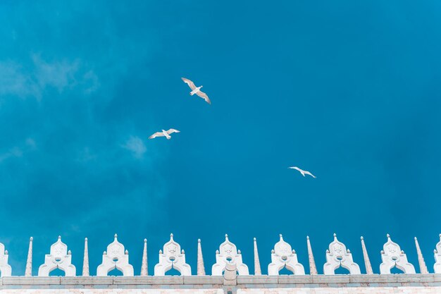 Zdjęcie piazza san marco plac świętego marka z bazyliką św. marka szczegóły architektury dachu z latającym ptakiem mewa na tle błękitnego nieba w wenecji włochy atrakcja turystyczna letnia wycieczka po mieście