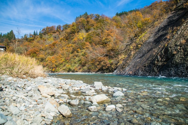 Zdjęcie sceniczny widok jeziora na tle nieba jesienią