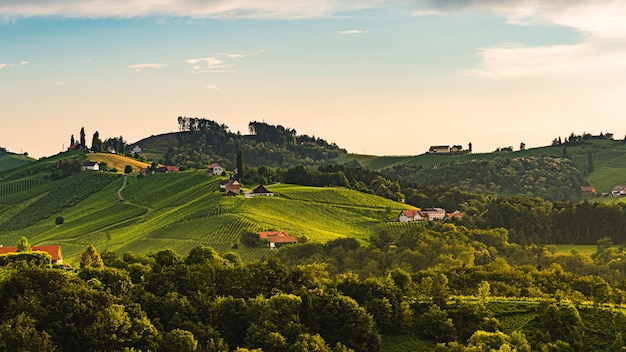 Zdjęcie sceniczny widok pola rolniczego na tle nieba