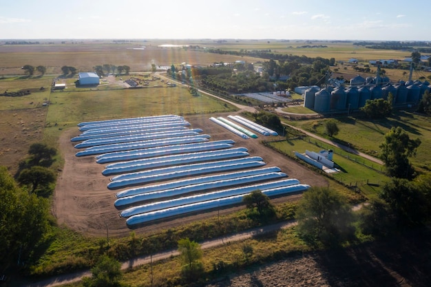 Worek silosowy wypełniony ziarnami soi La Pampa Prowincja Patagonia Argentyna