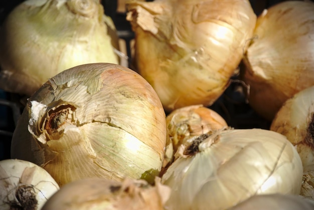 Zdjęcie zbliżenie pocisków na sprzedaż