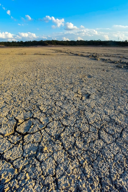 Złamana sucha gleba w lagunie Pampas La Pampa w prowincji Patagonia Argentina