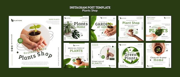 Gratis PSD instagramposts voor planten verzorgen