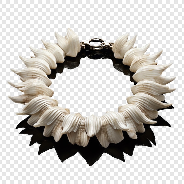 Gratis PSD puka shell ketting sieraden geïsoleerd op transparante achtergrond