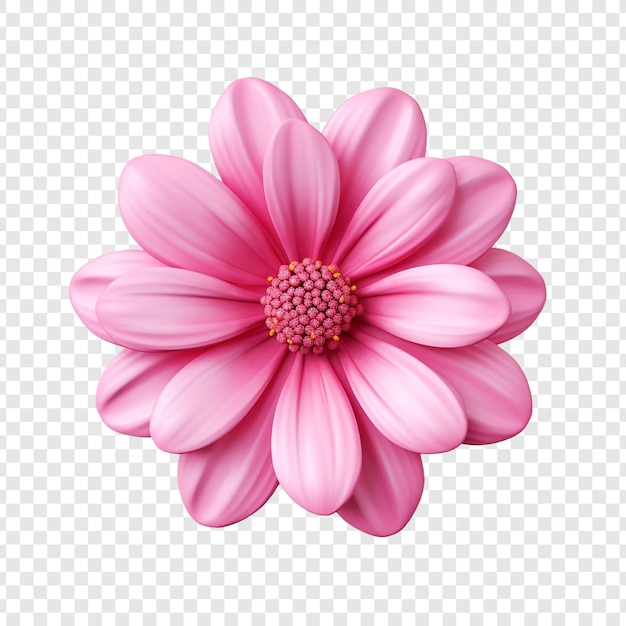 PSD gratuit 3d fleur rose isolée sur un fond transparent