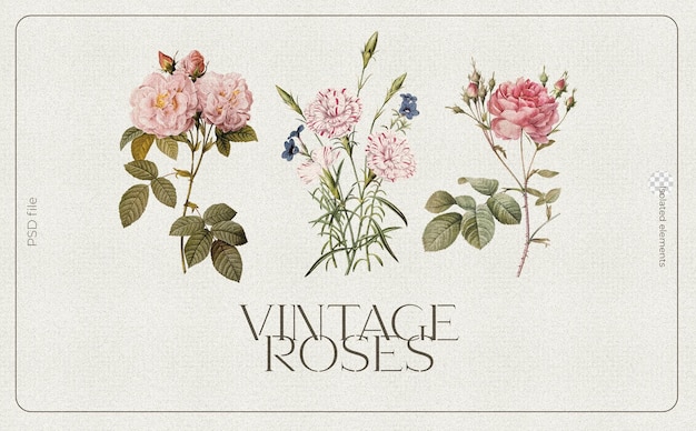 PSD gratuit une belle composition de collage avec des fleurs vintage