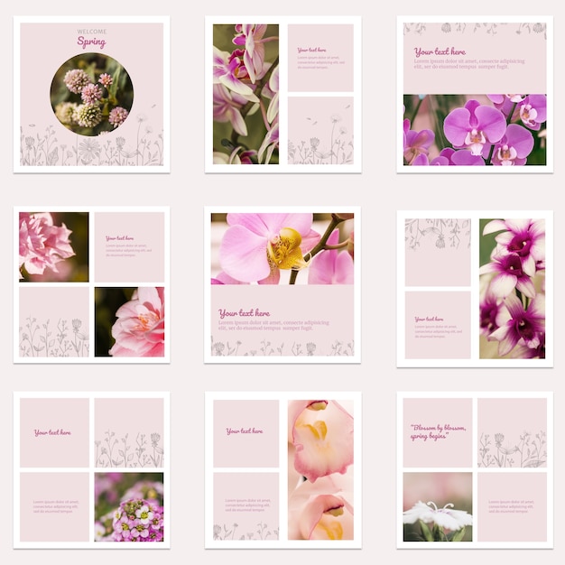 PSD gratuit collection de post instagram florale