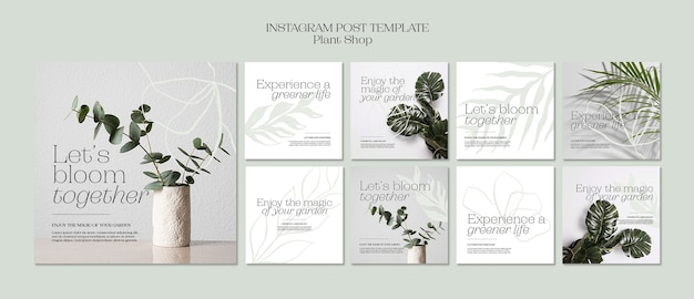 PSD gratuit collection de publications instagram pour les magasins de plantes