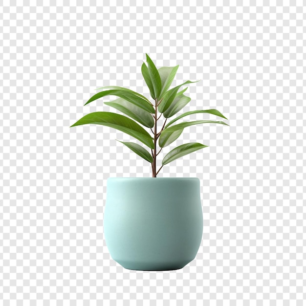 PSD gratuit fleur de pot de plante isolée sur fond transparent