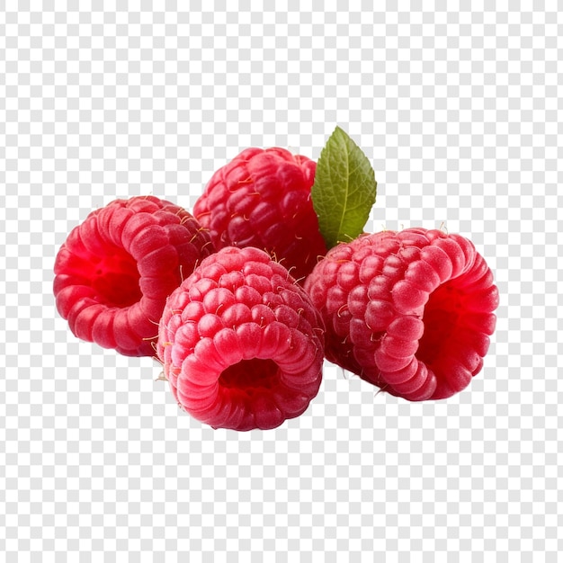 PSD gratuit framboises isolées sur fond transparent