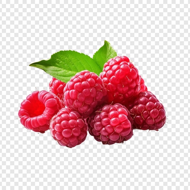 PSD gratuit framboises isolées sur fond transparent