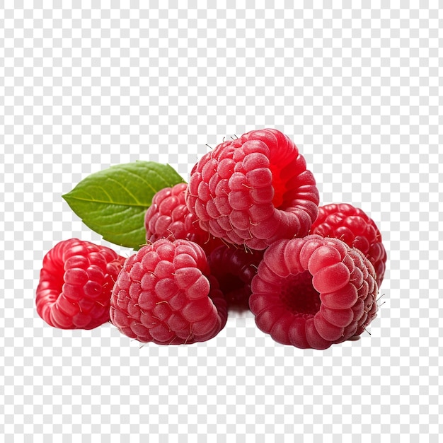 PSD gratuit framboises isolées sur fond transparent