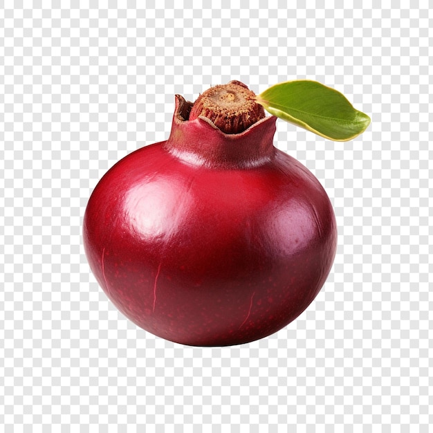 PSD gratuit mangosteen isolé sur un fond transparent