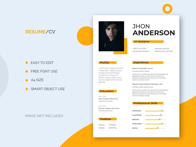 Modèle de CV ou cv minimal et propre