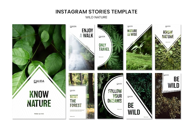 PSD gratuit modèle d'histoires instagram carré nature sauvage