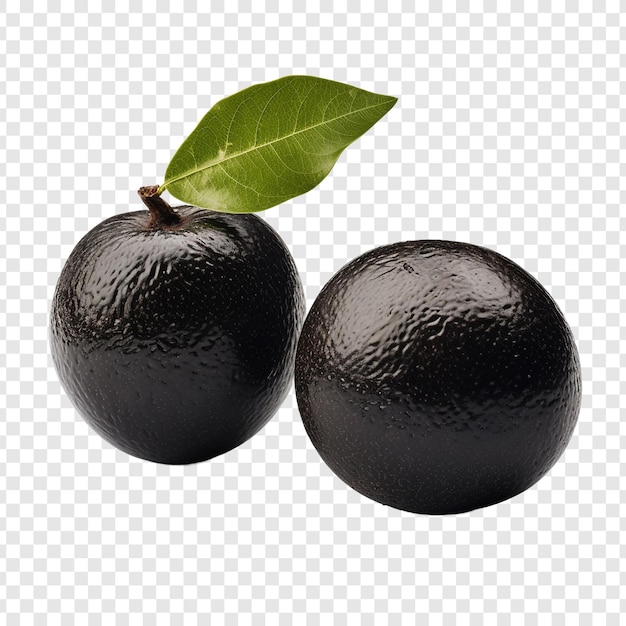 PSD gratuit sapote noir isolé sur fond transparent